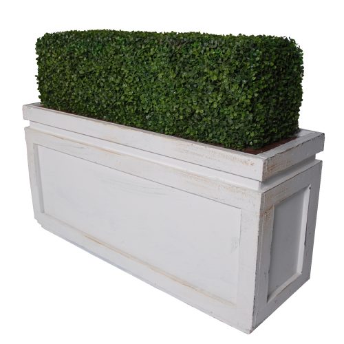 Topiary Hedge with Boxwood Base